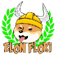 ElonFlokiInu