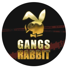 Gangs Rabbit