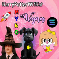 HarryPotterWifHatMyroWynn10Inu