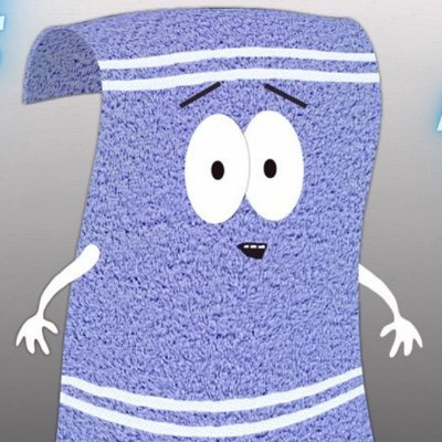 Towelie